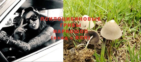 мяу мяу мука Заводоуковск